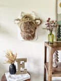 Highland Cow Wall Mount